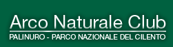 torna alla home page